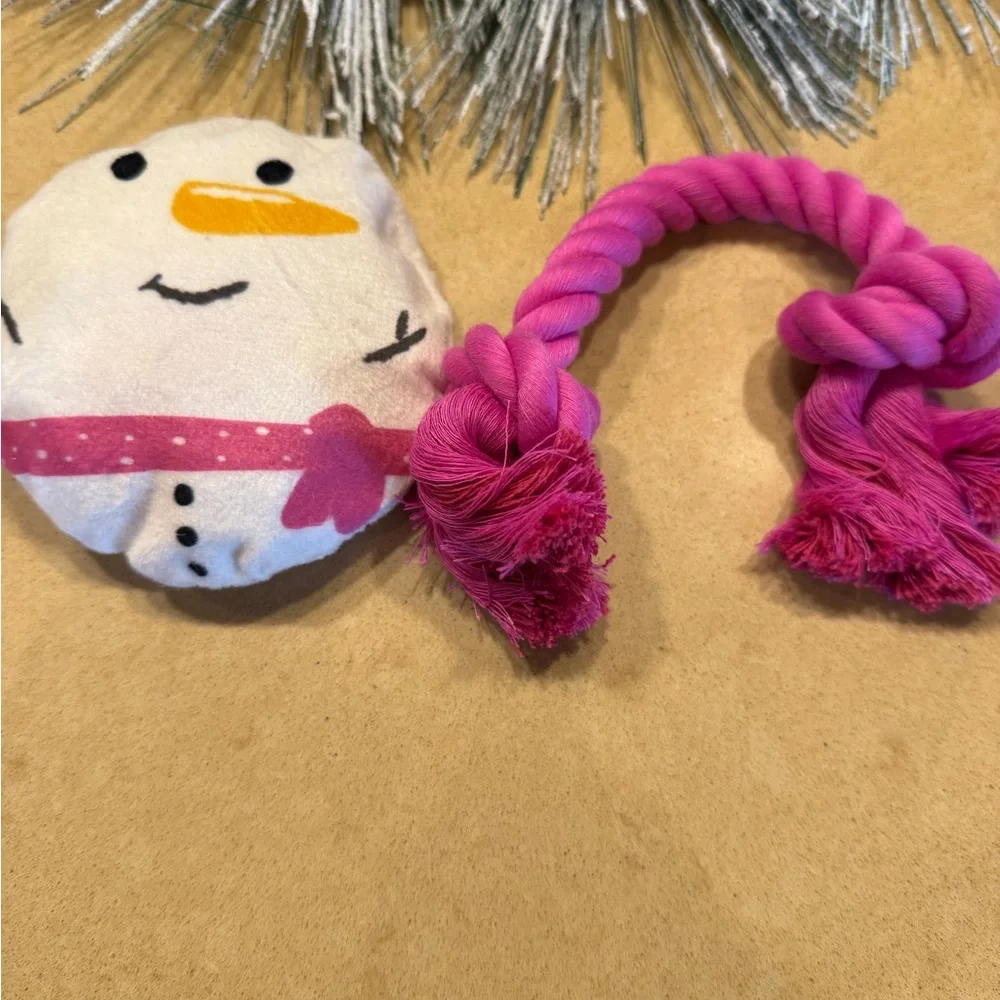 Petco Snowman and Chew Rope Toy Small Dog Toy Set NWOT